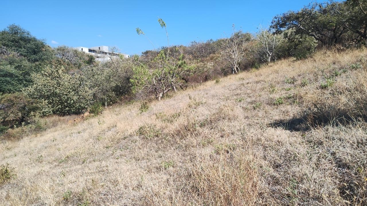Venta de Terreno Chichco, Tepoztlán, Morelos $3,000,000 - 1