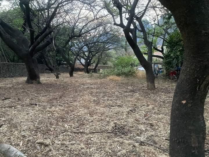 Venta Terreno Huilotepec, Tepoztlán, Morelos $2,769,600 - 1