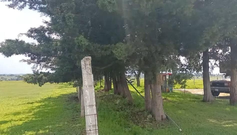 SE VENDE RANCHO DE 80 HECTAREAS EN IXTLAHUACA EDO. DE MEXICO. - 1