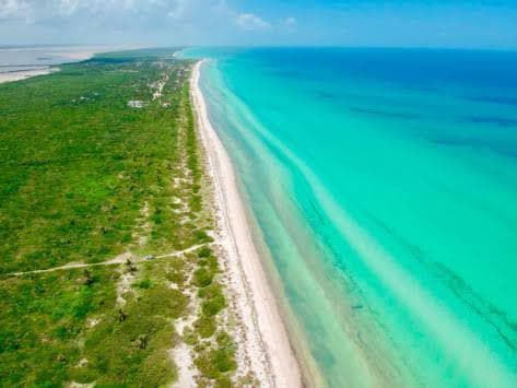 Estupendo Terreno Sobre La Orilla Del Mar En El Cuyo, Yucatán - 1