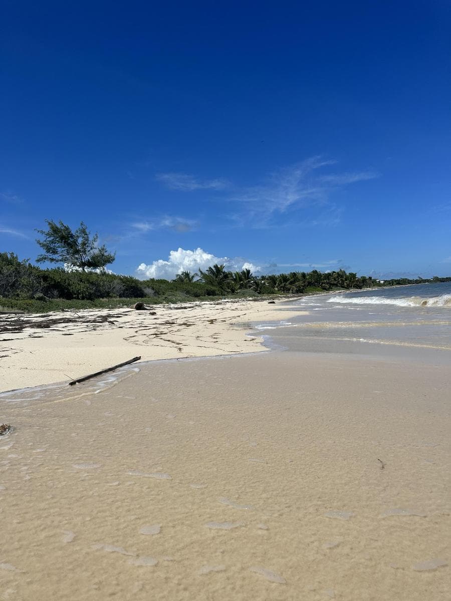 Playa Caribe 20x50 - Terreno Frente al Mar en Mahahual – Inversión Ideal para Villas de Lujo u Hotel Boutique - 1