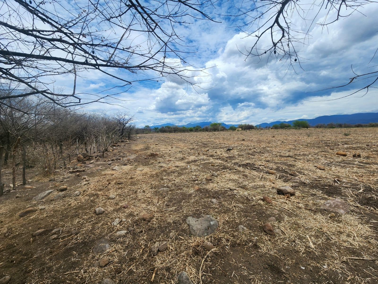 Terreno en Venta en Amacuzac Morelos - 1