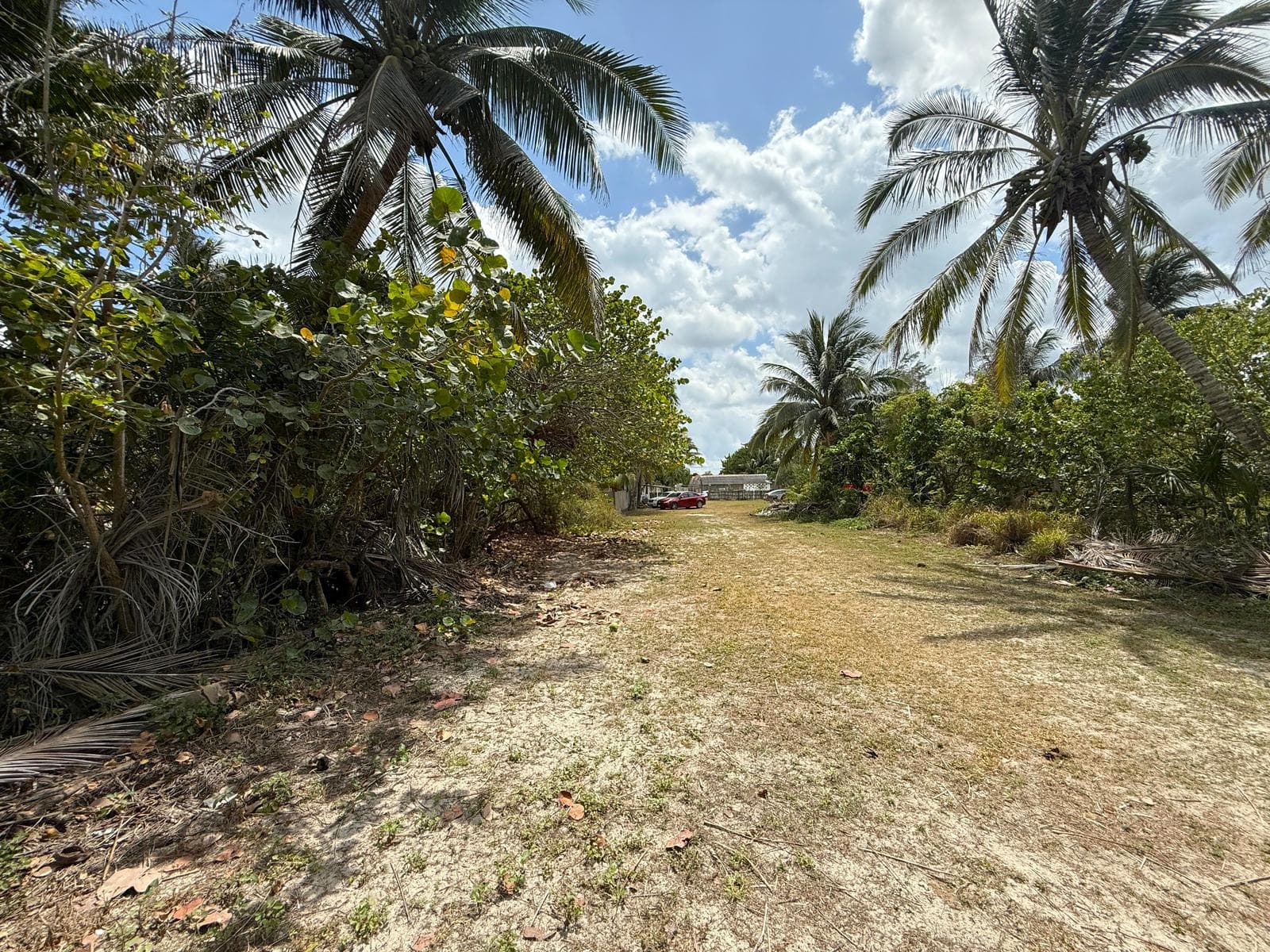 Terreno Frente al Mar en Venta en las Hermosas Playas de El Cuyo, Yucatán - 1