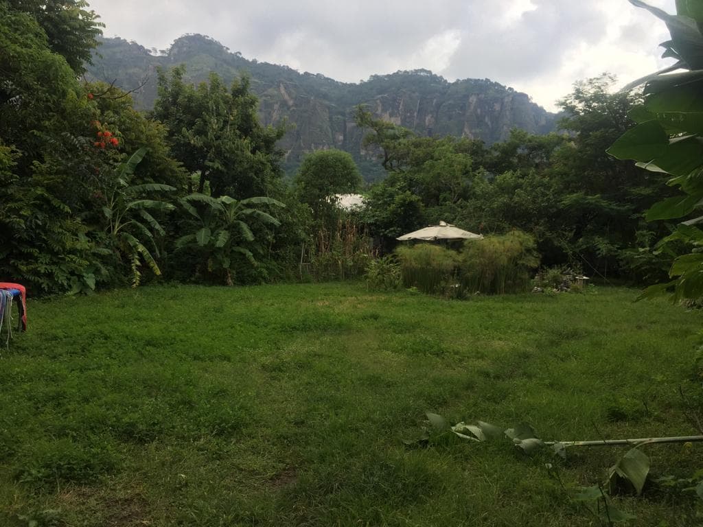 CASA EN TEPOZTLAN, VALLE DE ATONGO, COMPLETAMENTE AL NATURAL - 1