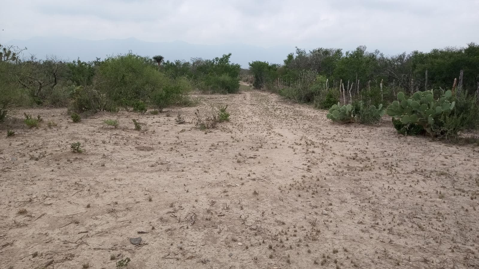 TERRENO INDUSTRIAL EN VENTA EN SALINAS VICTORIA N.L. - 1