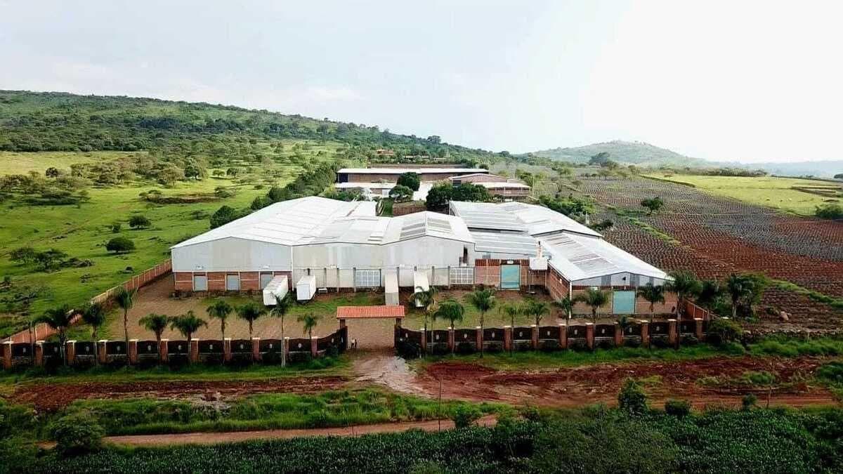 Conjunto de Bodegas en Zapotlanejo Renta o Venta - 1