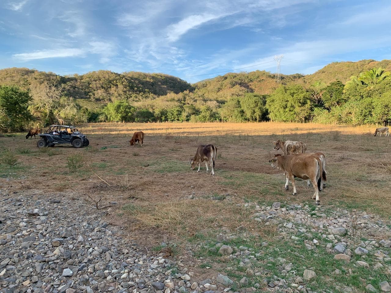 Terreno en Venta en Cofradia de Suchitlan, Comala, Colima - 1