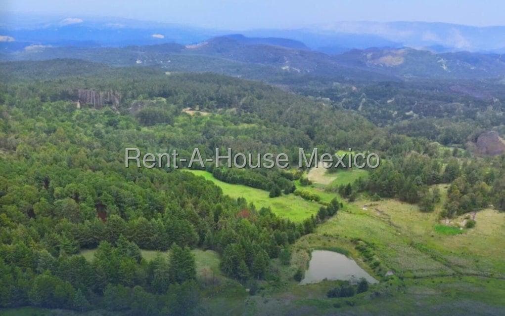 Terreno en Venta en Calle Santiago del Monte, Santiago del Monte RU 26-179. - 1