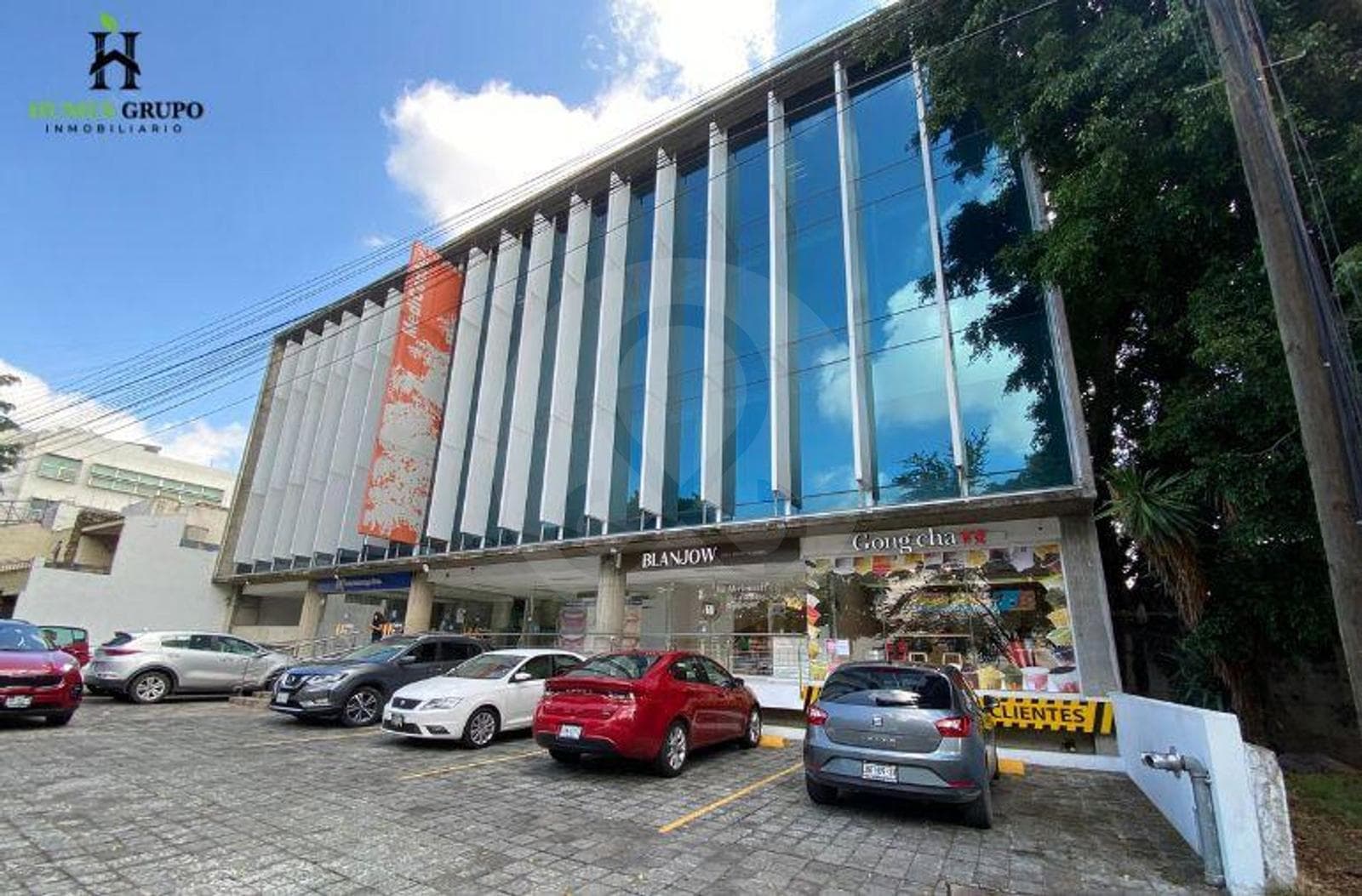 CONSULTORIO EN RENTA EN AV NICOLAS COPERNICO ARBOLEDAS - 1