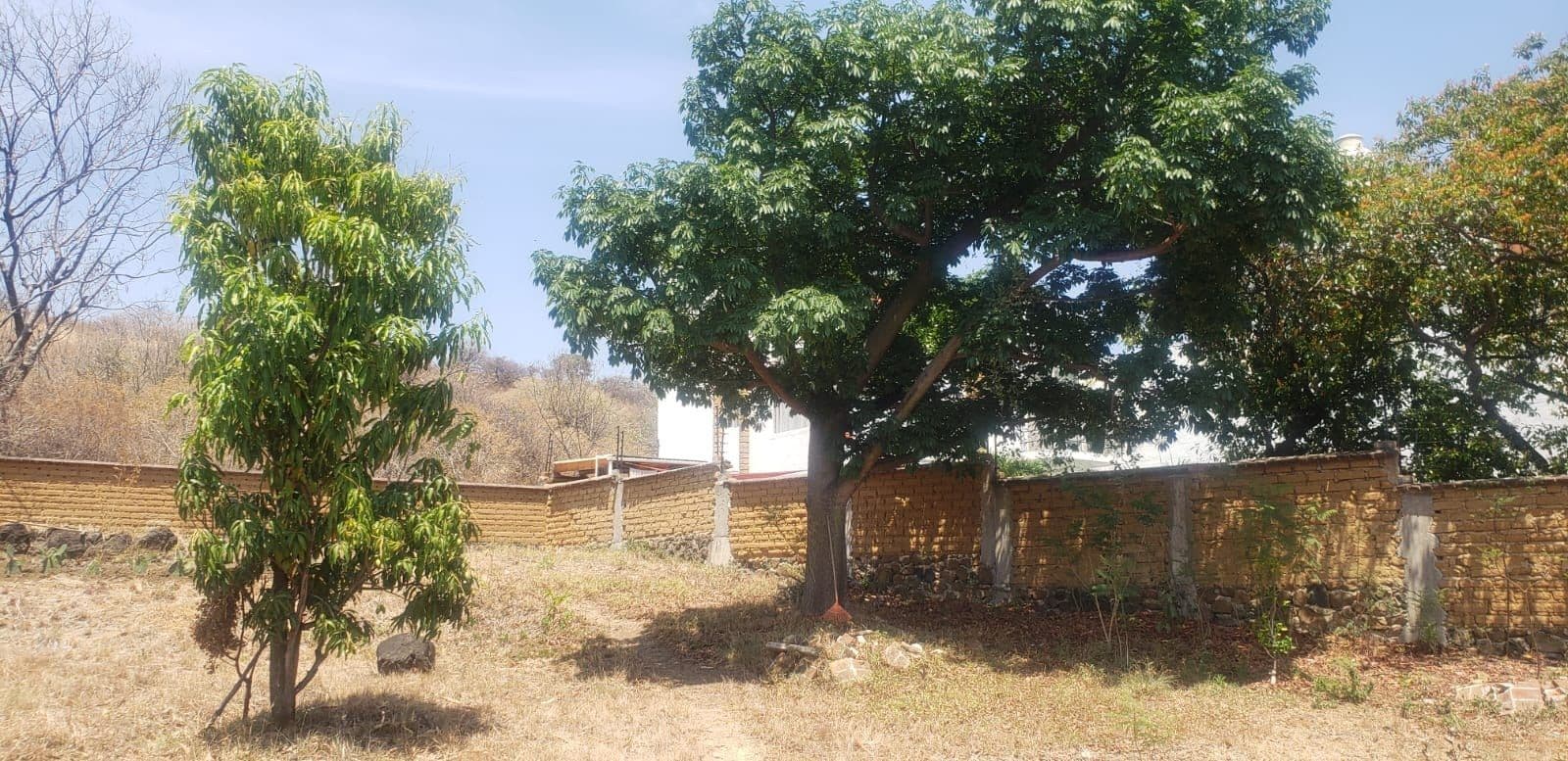 TERRENO EN RESIDENCIAL SANTA ANA - 1