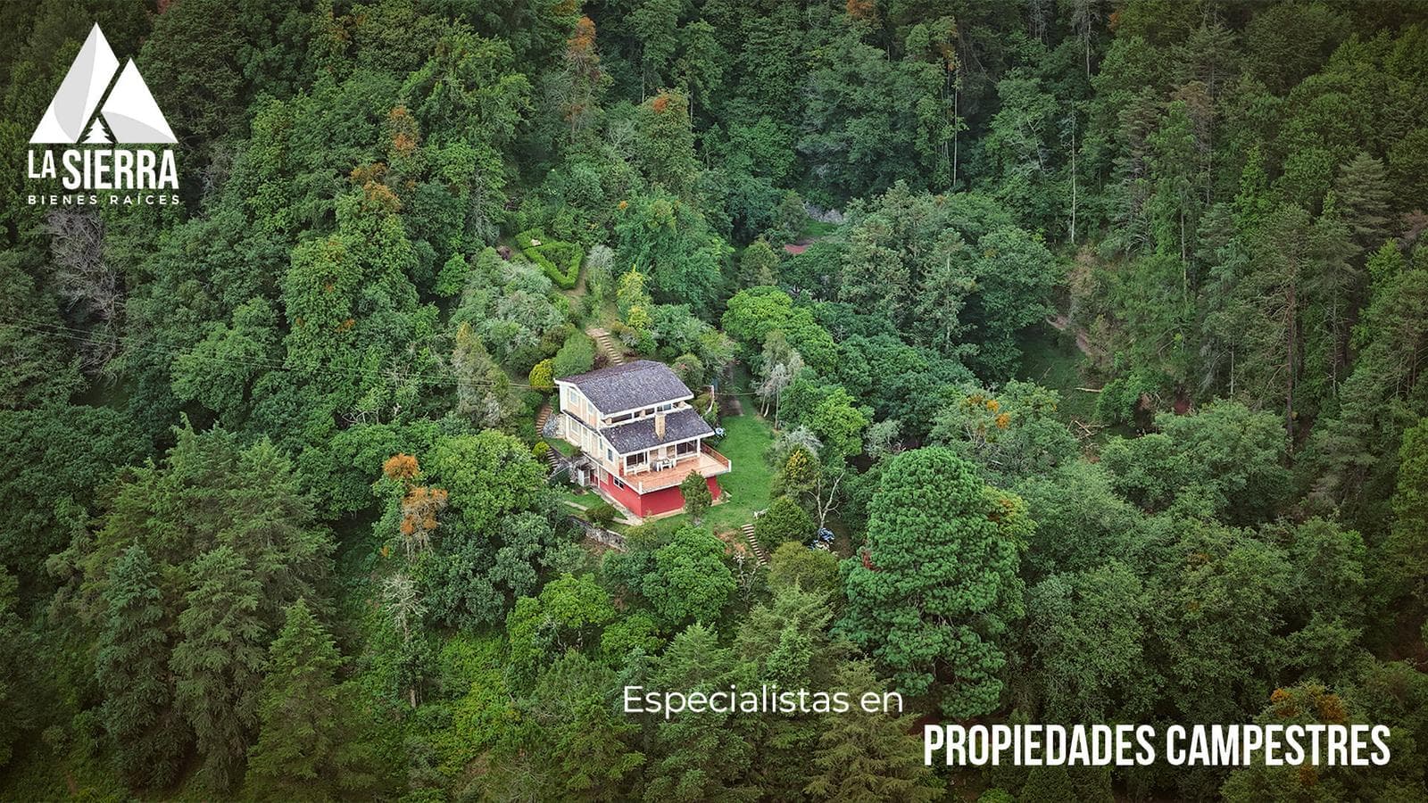 Increíble Finca en el Bosque de 19 HA - 1