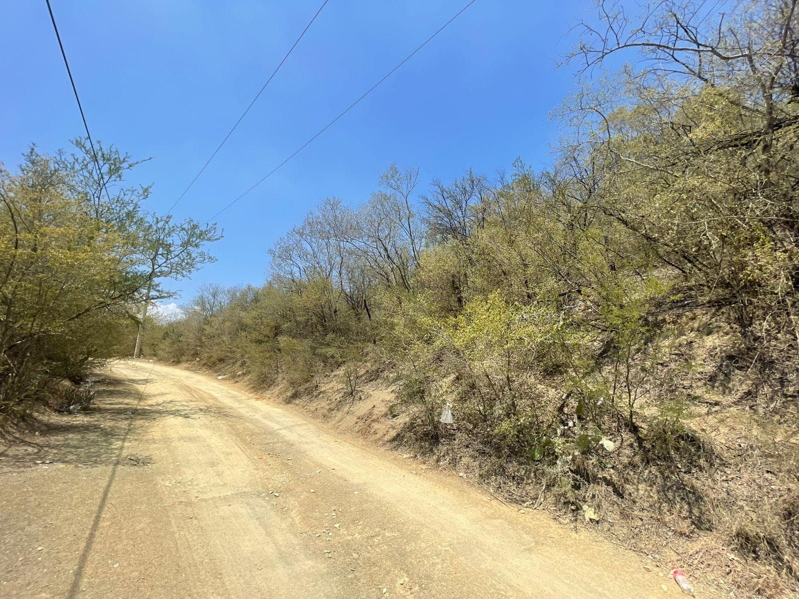 TERRENO HACIENDA PRIETOS EL PORVENIR ALLENDE VENTA - 1