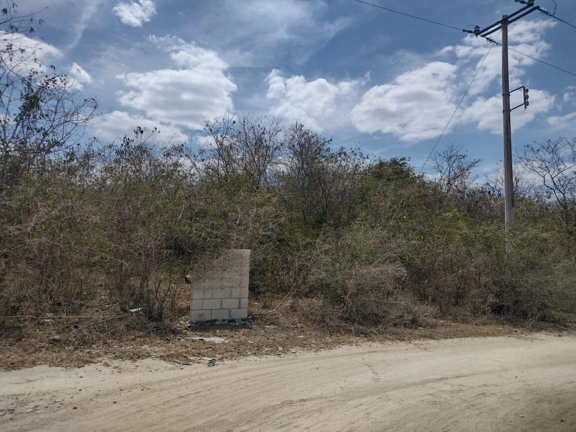 Terreno en Pueblo Teya - 1