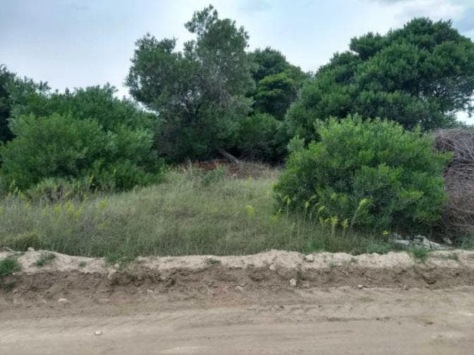 Terreno en venta - 15x33,75 - 562mts2 - Coronel Dorrego - 1