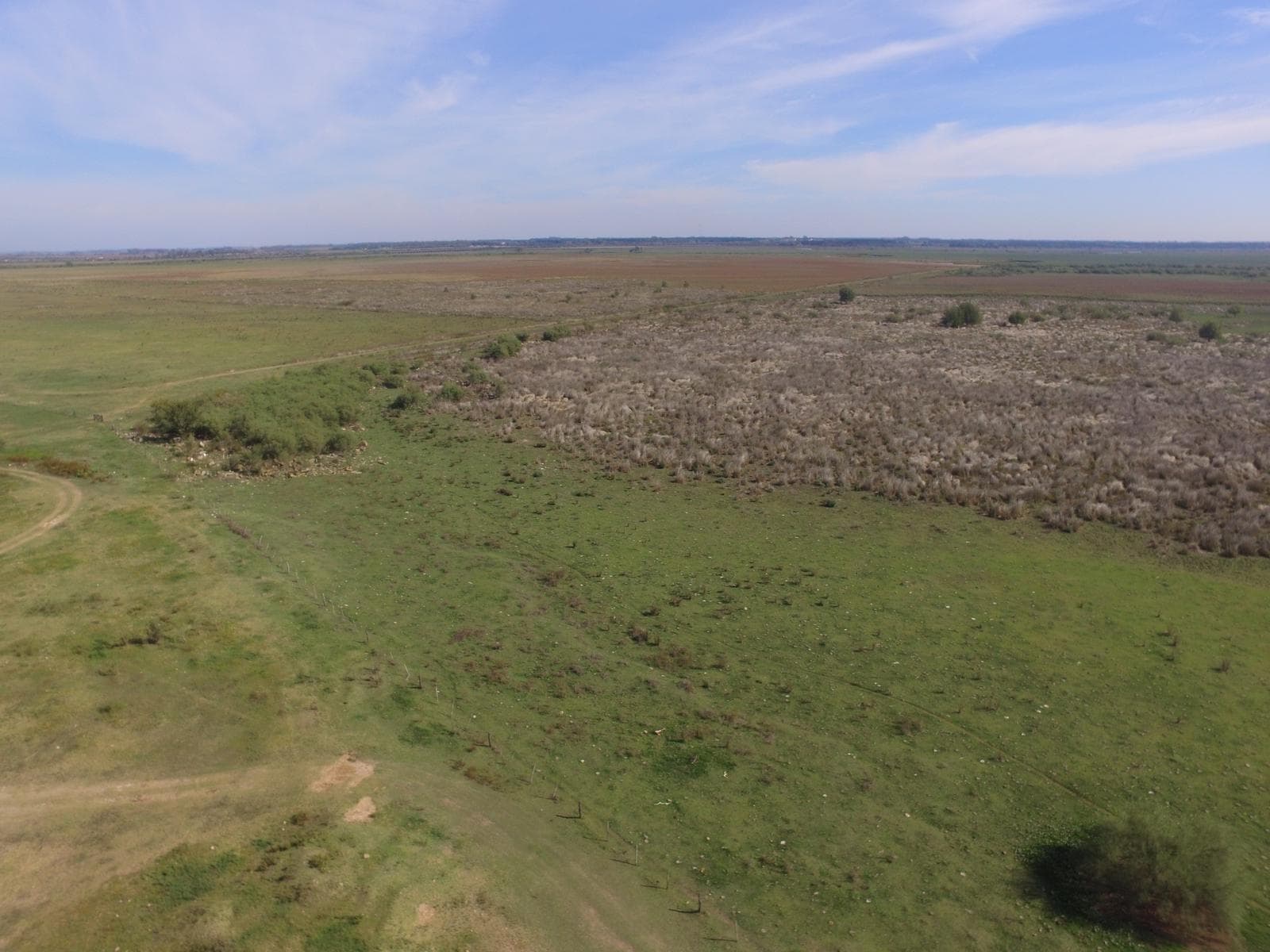 Campo en Venta - 1