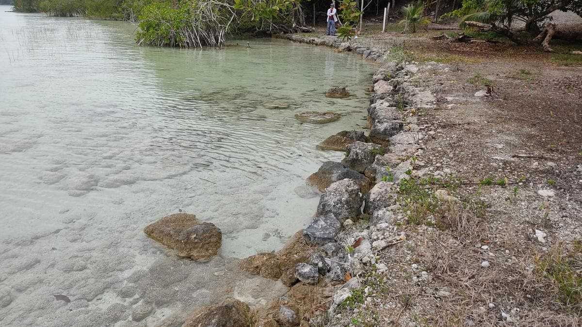 Terreno en la laguna de Bacalar - 1