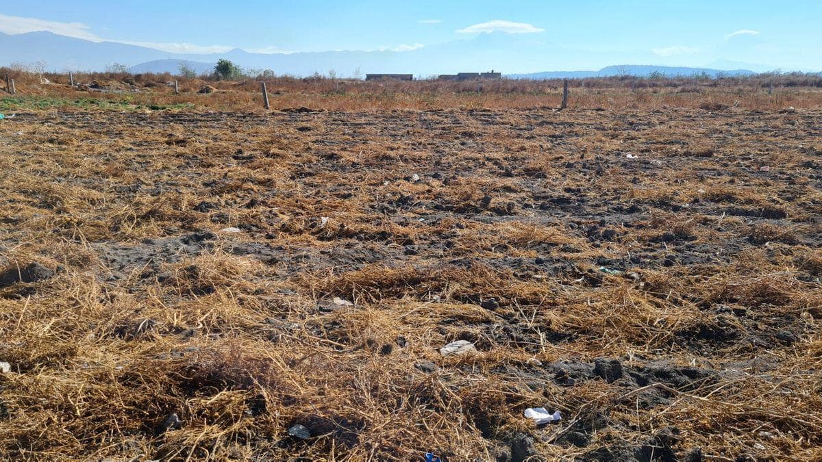 Terreno Comercial en Tlahuac - 1