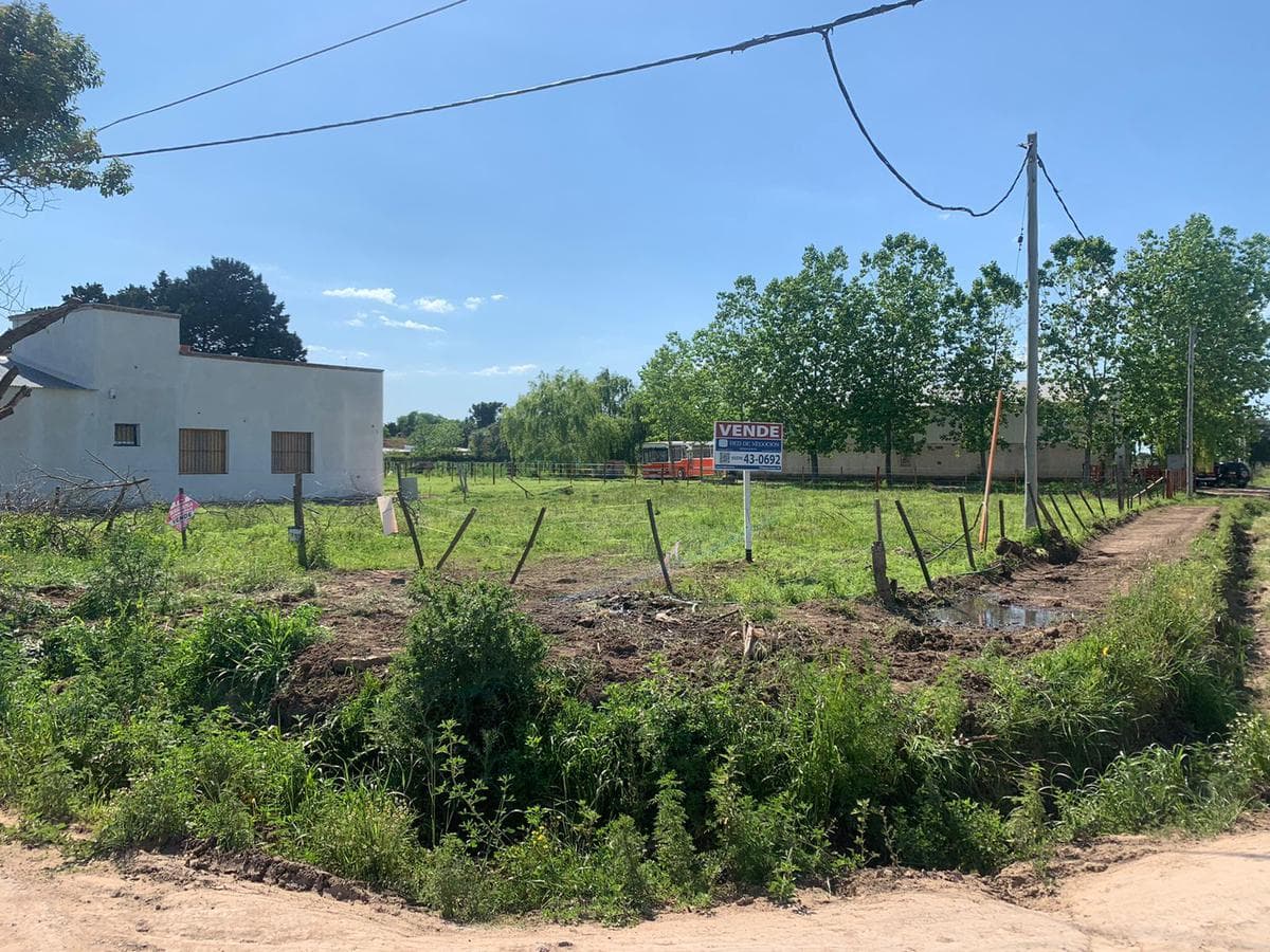 Terreno - San Pedro - 1
