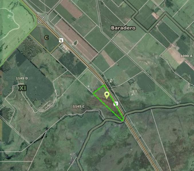 Campo - Alsina - 1
