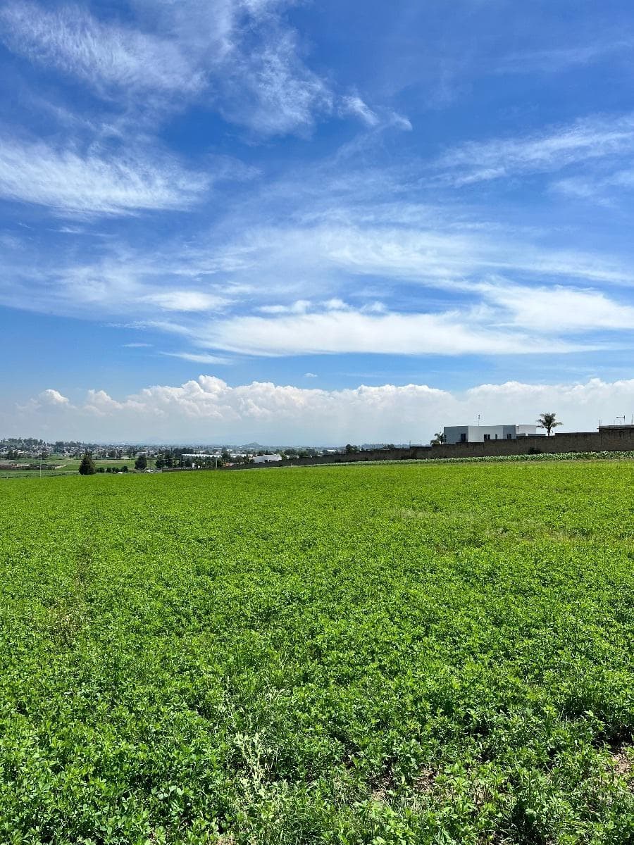 LOTE EN CHIPILO - 1