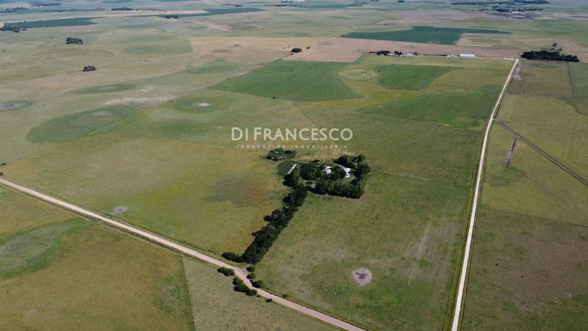 Venta - Campo de 40HA en General Madariaga - 1