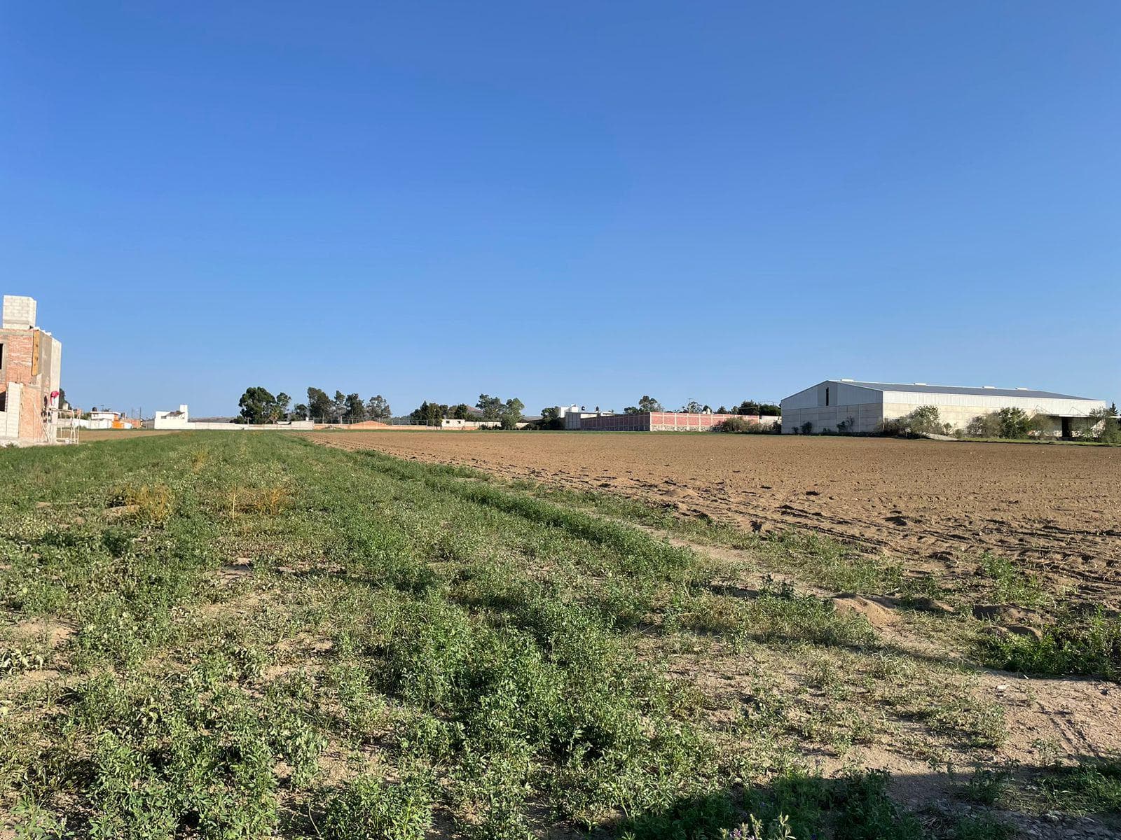 TERRENO EN VENTA EN CHIPILO DE FRANCISCO JAVIER MINA - 1