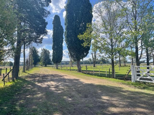EXCELENTE CAMPO EN VENTA A 5 KM DEL CASCO URBANO DE MARCOS PAZ - 1