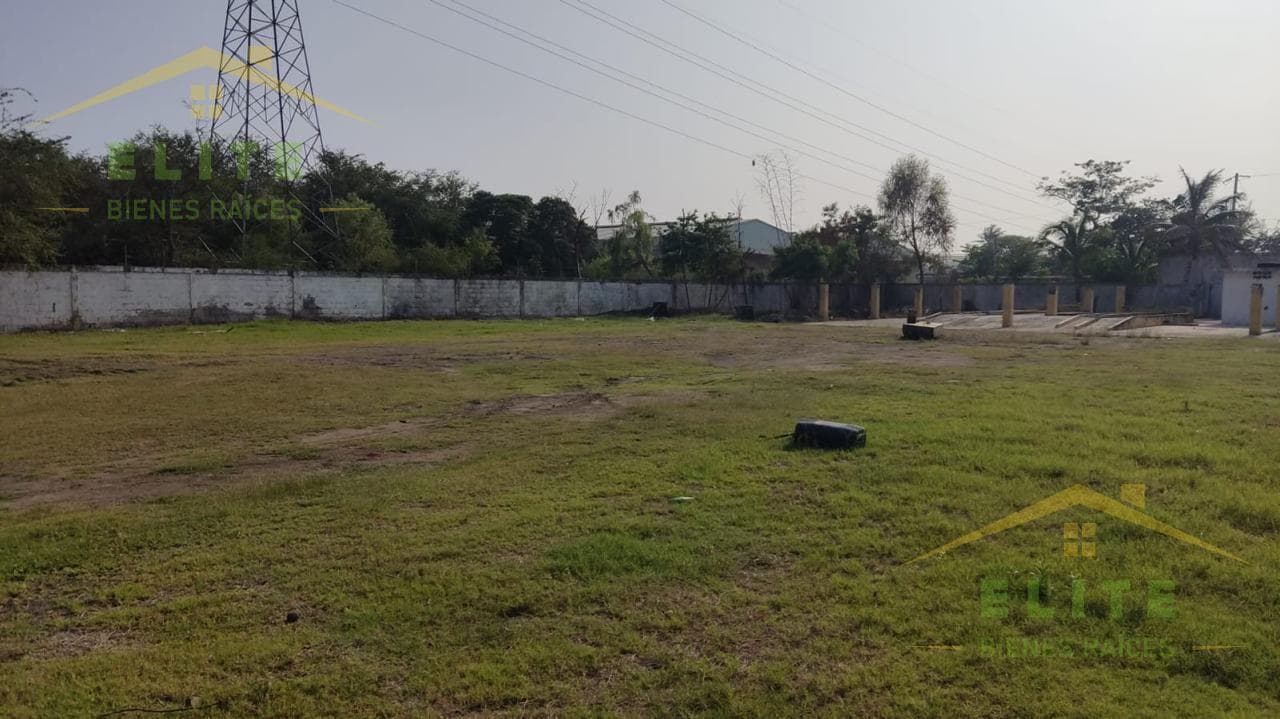 TERRENO EN RENTA MORALILLO VERACRUZ - 1