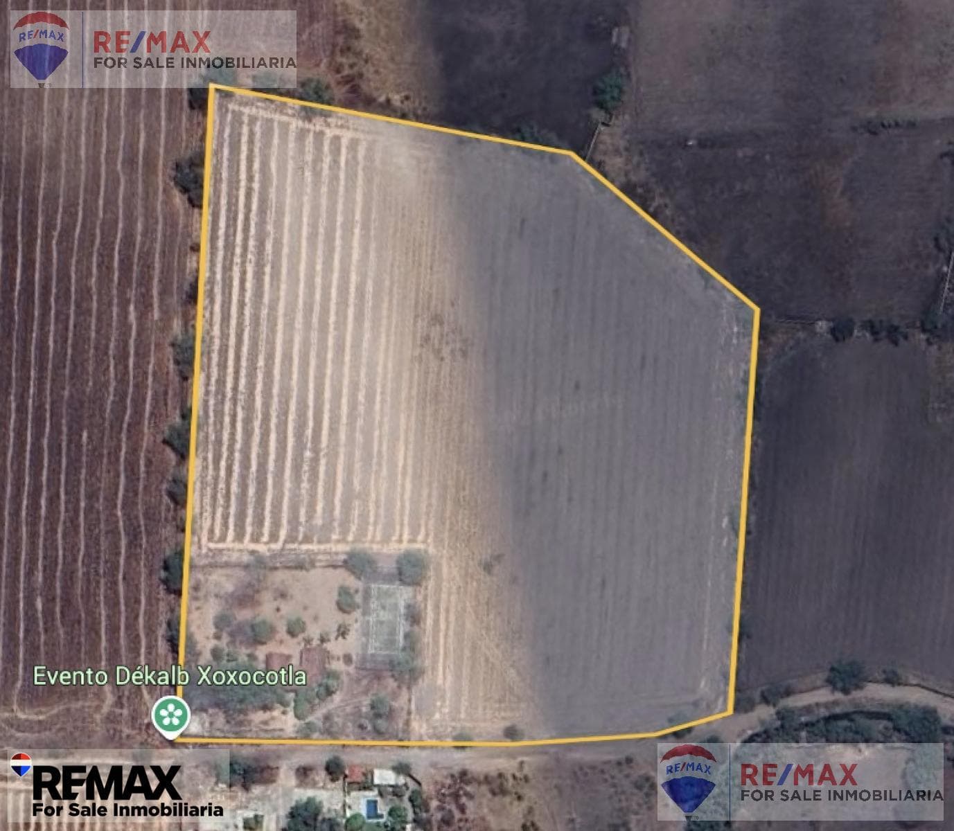 Venta de terreno de 40,431m2, Anenehuilco, Xoxocotla, MorelosClave 5494 - 1