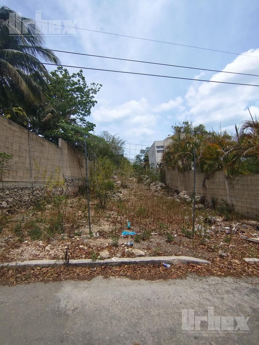TERRENO EN VENTA EN SAMULÁ, CAMPECHE - 1