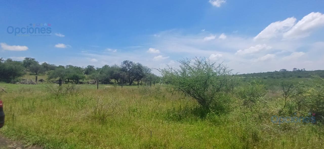 Terreno en Venta - 1