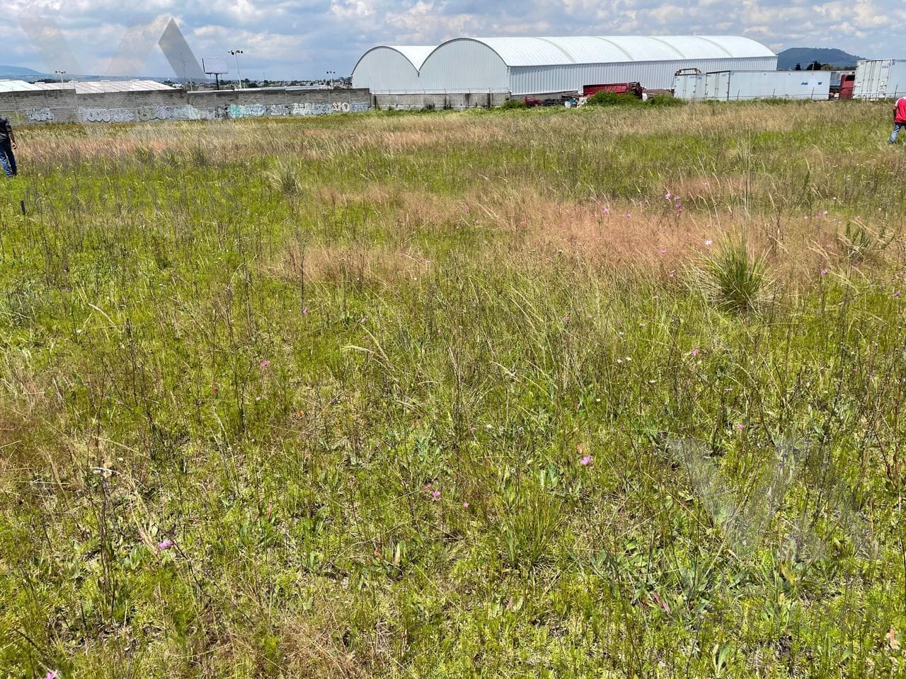 TERRENO EN VENTA, CACALOMAN - 1