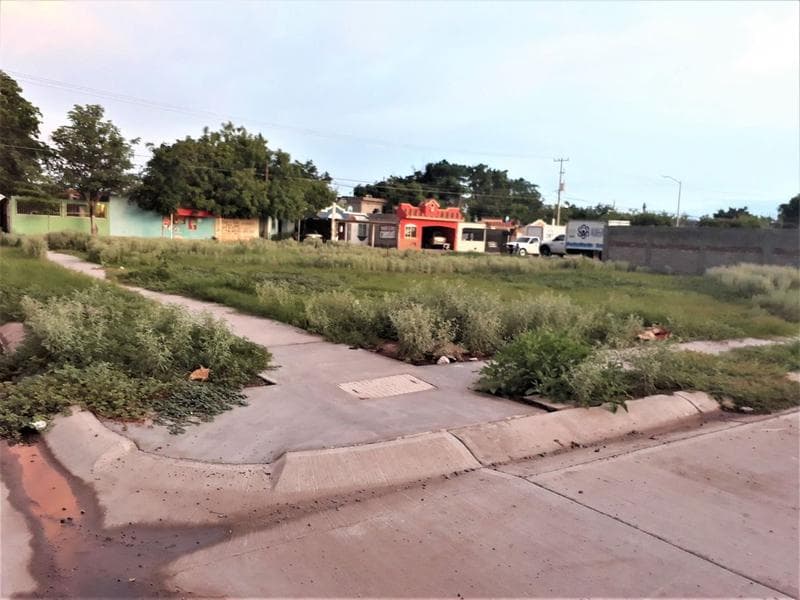 Se vende 7 lotes juntos en Fraccionamiento La Florida - 1