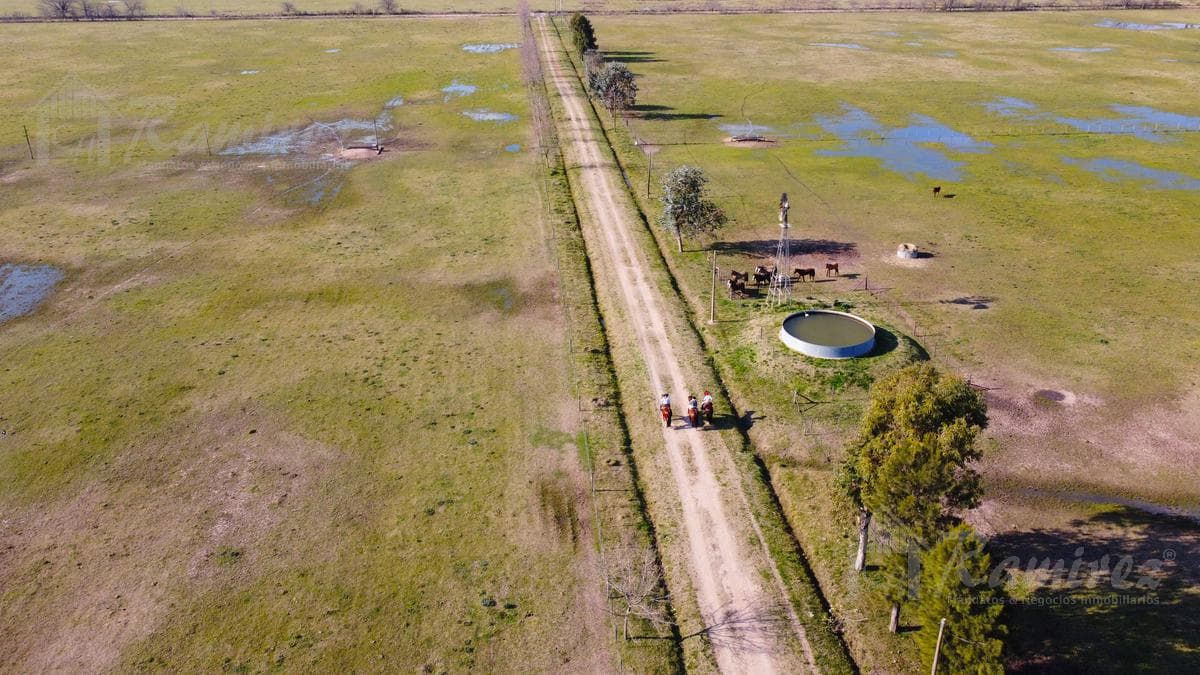 Campo Haras 48 Ha. A 1500 Mts. De Ruta 6 - Marcos Paz - 1