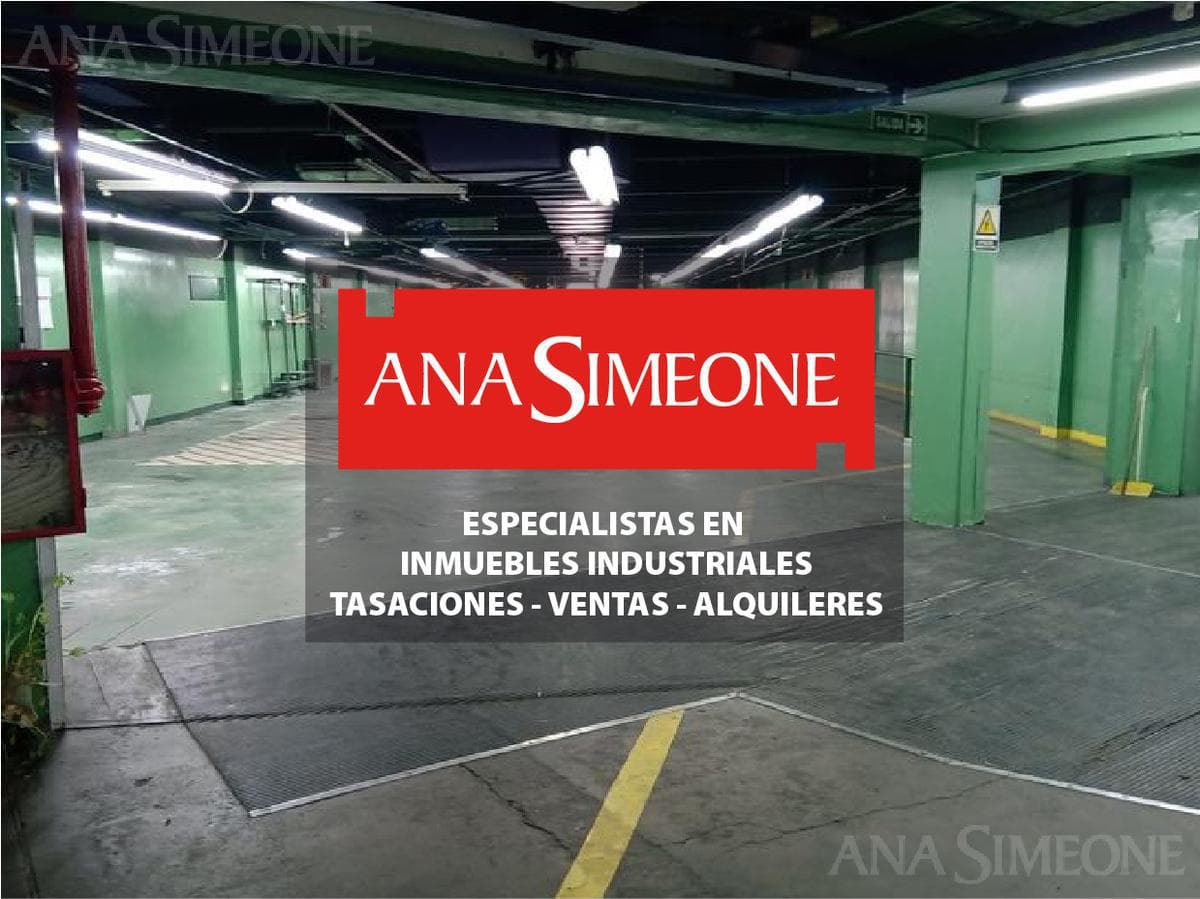 Nave Industrial - Haedo - 1