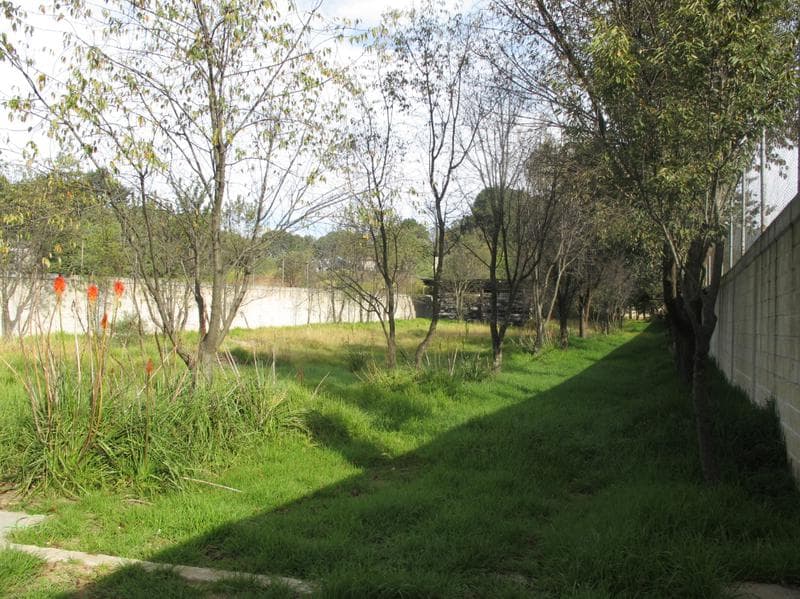 TERRENO SOBRE CARR VIEJO MEX-TOLUCA CON ESCRITURAS (AMEYALCO) - 1