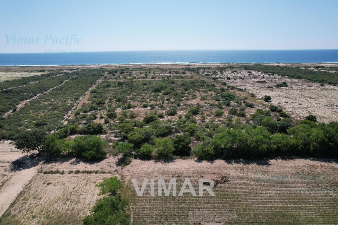 Terreno - para desarrollo inmobiliario o lotificación - Puerto Escondido Centro - 1
