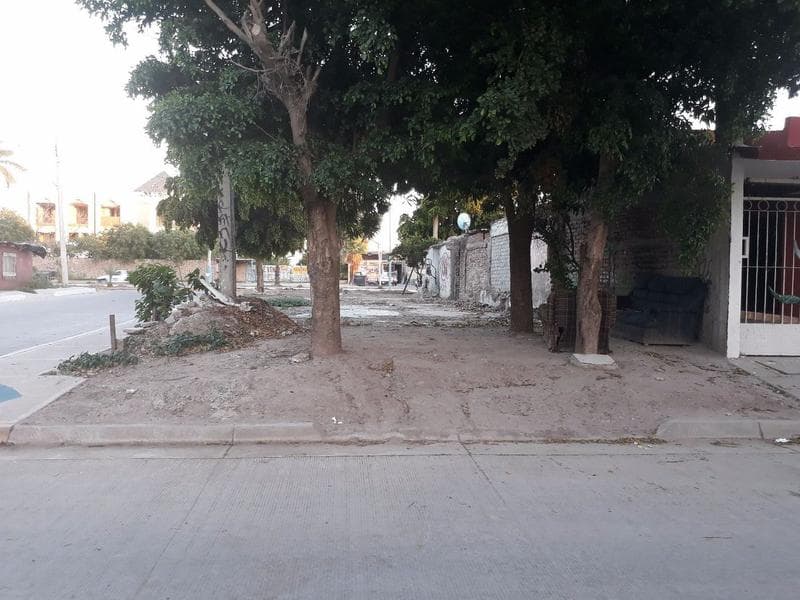 Renta de terreno baldío por dren juarez los mochis - 1