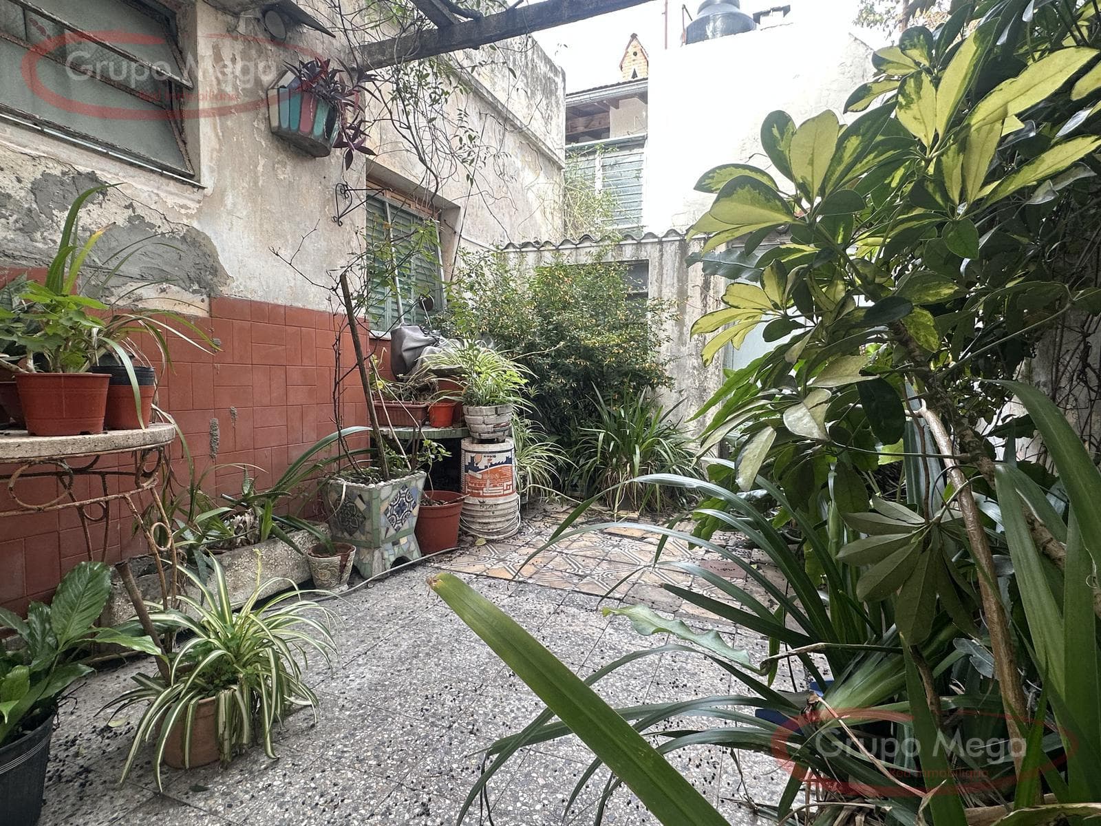Casa s/lote propio 7.79x15.4 c/patio y terraza - 1