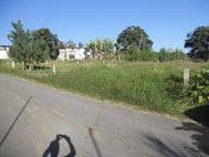 TERRENO PLANO - 1