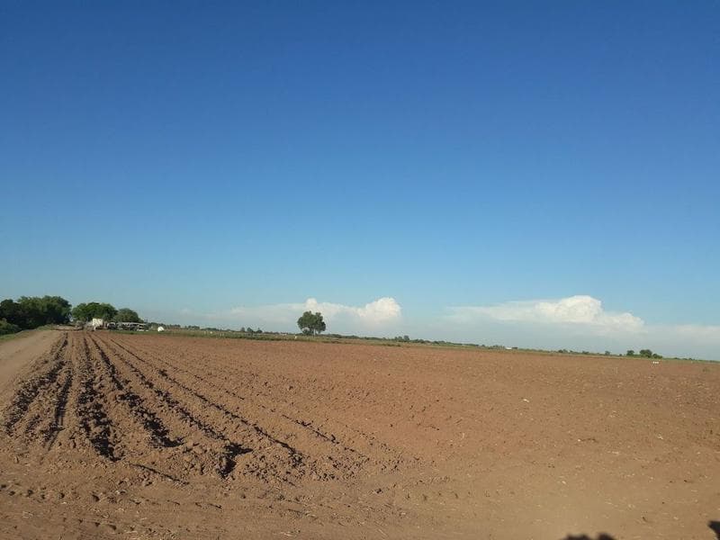 Venta terreno carretera Los Mochis-Topolobampo - 1