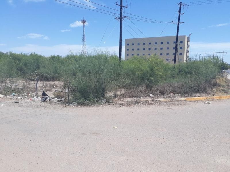 TERRENO CARRETERA INTERNACIONAL Y CANAL DIAGONAL GUASAVE - 1
