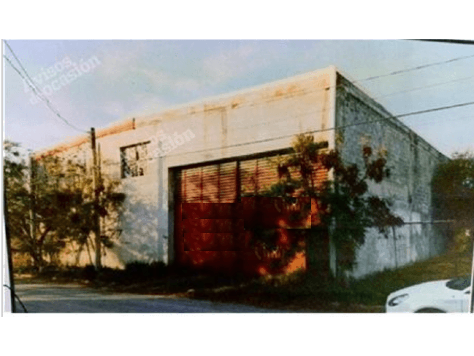 BODEGA - 1