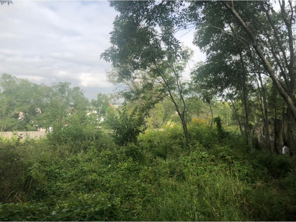 TERRENO 4,300M2 AL LADO DE VISTA HERMOSA SAN JOSE DEL CERRITO MORELIA - 1