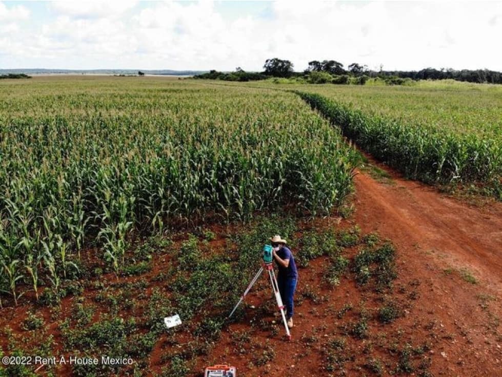 Terreno en Venta para Inversión Agrícola GIS.22-4542 - 1