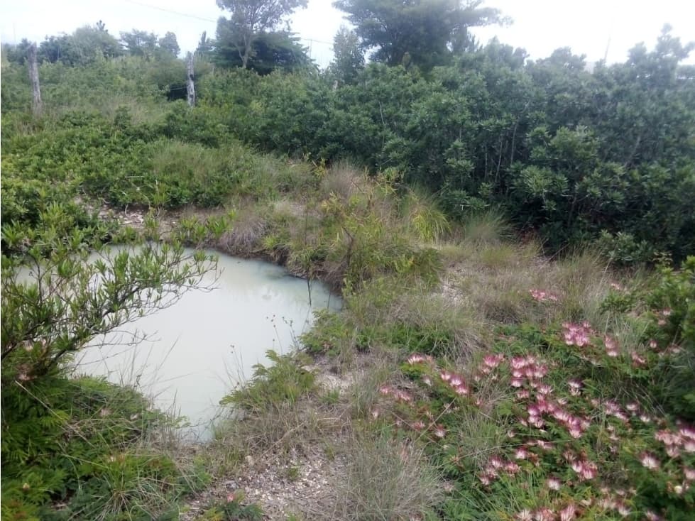 SE VENDE TERRENO A ORILLA DE CARRETERA - 1