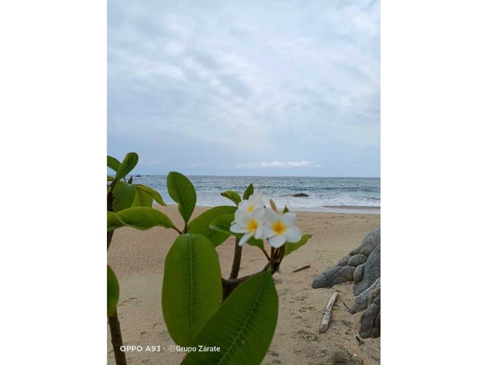 Coyula HUATULCO/220,000 m² /Zona turística - 1